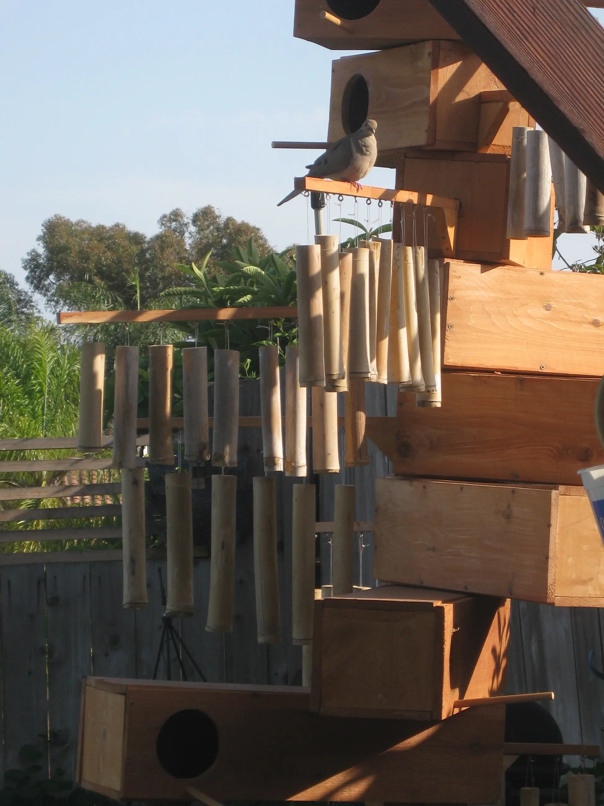 Spiral Pigeon Bird House - Backyard Build