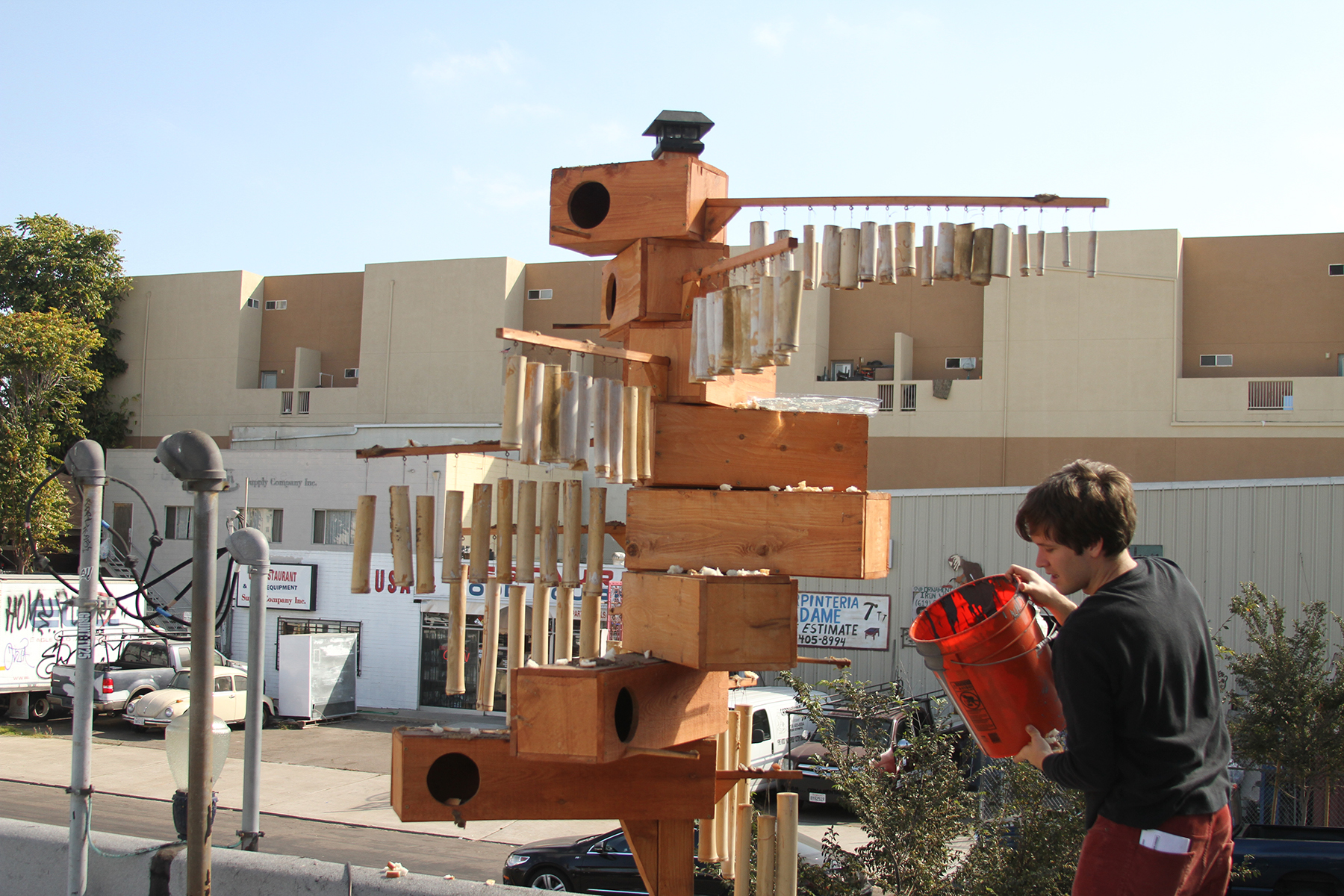 Spiral Pigeon Bird House - Backyard Build