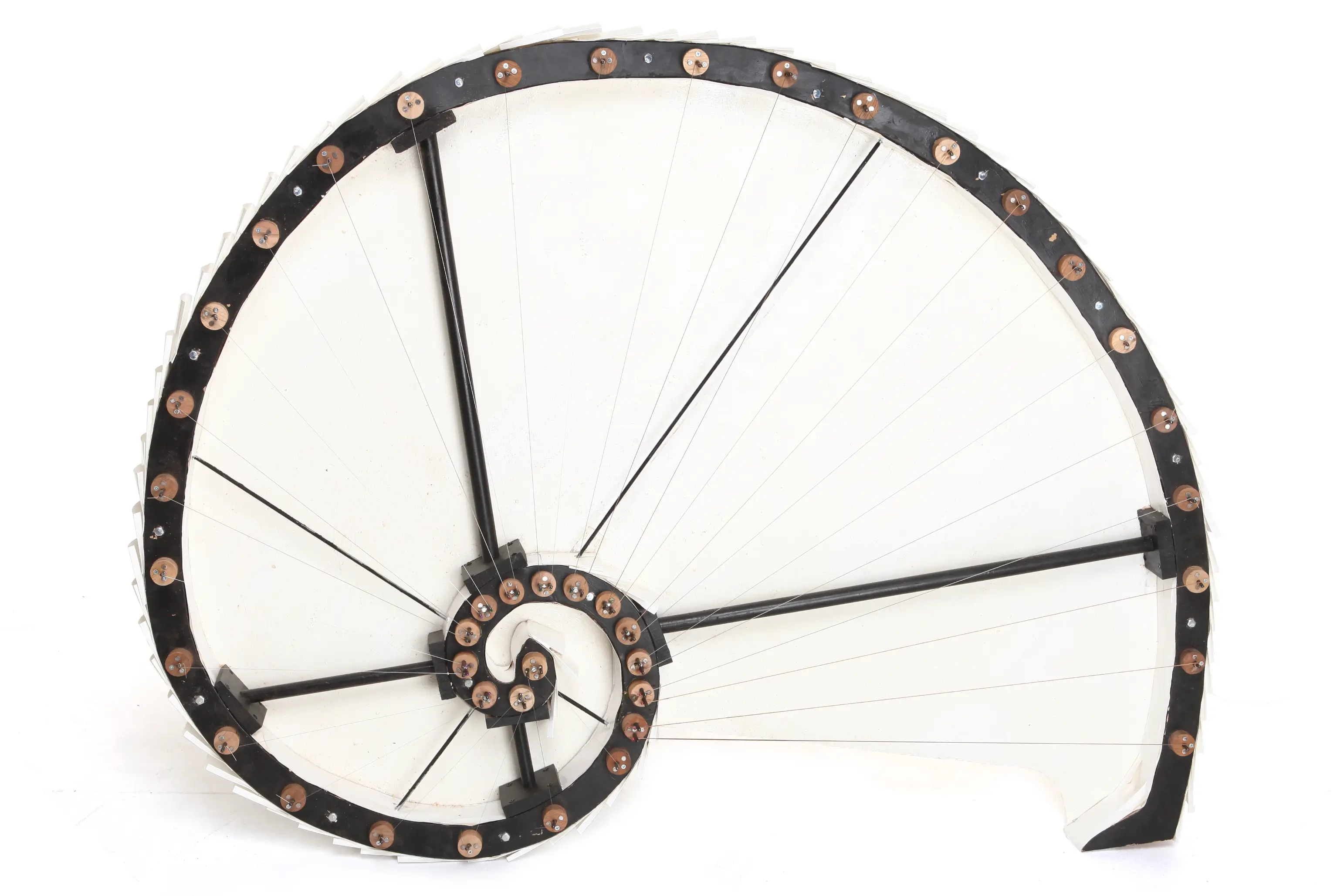 Scott Lingner's Fibonacci Snail Guitar - Mathematical & Organic design